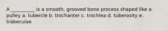 A __________ is a smooth, grooved bone process shaped like a pulley a. tubercle b. trochanter c. trochlea d. tuberosity e. trabeculae