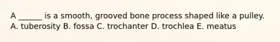 A ______ is a smooth, grooved bone process shaped like a pulley. A. tuberosity B. fossa C. trochanter D. trochlea E. meatus