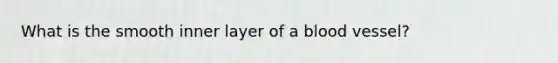 What is the smooth inner layer of a blood vessel?