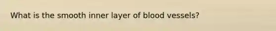 What is the smooth inner layer of <a href='https://www.questionai.com/knowledge/kZJ3mNKN7P-blood-vessels' class='anchor-knowledge'>blood vessels</a>?