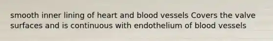 smooth inner lining of heart and <a href='https://www.questionai.com/knowledge/kZJ3mNKN7P-blood-vessels' class='anchor-knowledge'>blood vessels</a> Covers the valve surfaces and is continuous with endothelium of blood vessels