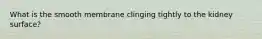 What is the smooth membrane clinging tightly to the kidney surface?