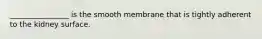 ________________ is the smooth membrane that is tightly adherent to the kidney surface.