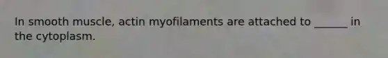 In smooth muscle, actin myofilaments are attached to ______ in the cytoplasm.