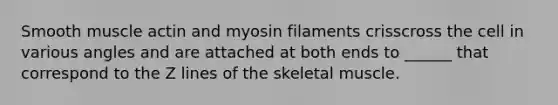 Smooth muscle actin and myosin filaments crisscross the cell in various angles and are attached at both ends to ______ that correspond to the Z lines of the skeletal muscle.