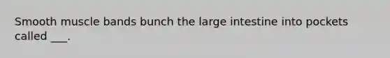 Smooth muscle bands bunch the large intestine into pockets called ___.