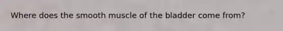 Where does the smooth muscle of the bladder come from?