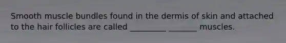 Smooth muscle bundles found in the dermis of skin and attached to the hair follicles are called _________ _______ muscles.