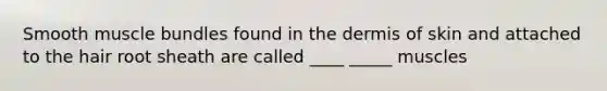Smooth muscle bundles found in <a href='https://www.questionai.com/knowledge/kEsXbG6AwS-the-dermis' class='anchor-knowledge'>the dermis</a> of skin and attached to the hair root sheath are called ____ _____ muscles