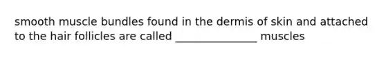 smooth muscle bundles found in <a href='https://www.questionai.com/knowledge/kEsXbG6AwS-the-dermis' class='anchor-knowledge'>the dermis</a> of skin and attached to the hair follicles are called _______________ muscles
