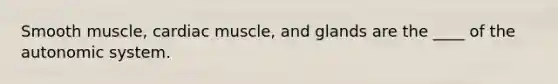 Smooth muscle, cardiac muscle, and glands are the ____ of the autonomic system.