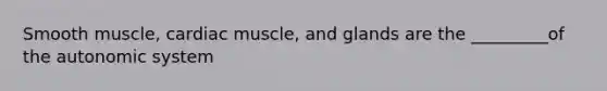 Smooth muscle, cardiac muscle, and glands are the _________of the autonomic system