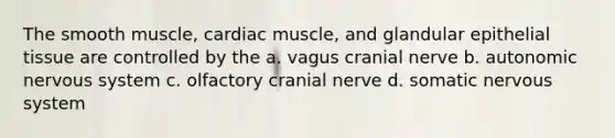 The smooth muscle, cardiac muscle, and glandular epithelial tissue are controlled by the a. vagus cranial nerve b. autonomic nervous system c. olfactory cranial nerve d. somatic nervous system