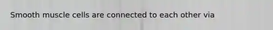Smooth muscle cells are connected to each other via