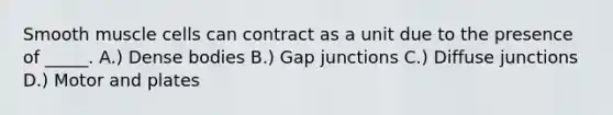 Smooth muscle cells can contract as a unit due to the presence of _____. A.) Dense bodies B.) Gap junctions C.) Diffuse junctions D.) Motor and plates