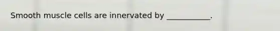 Smooth muscle cells are innervated by ___________.