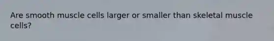 Are smooth muscle cells larger or smaller than skeletal muscle cells?