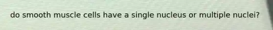 do smooth muscle cells have a single nucleus or multiple nuclei?