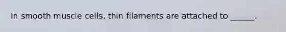 In smooth muscle cells, thin filaments are attached to ______.