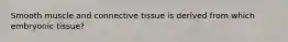 Smooth muscle and connective tissue is derived from which embryonic tissue?