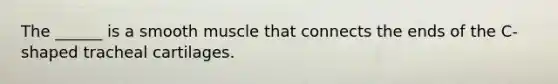 The ______ is a smooth muscle that connects the ends of the C-shaped tracheal cartilages.