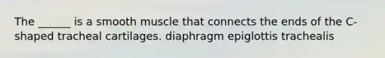 The ______ is a smooth muscle that connects the ends of the C-shaped tracheal cartilages. diaphragm epiglottis trachealis