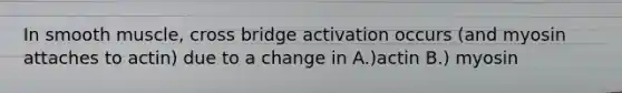 In smooth muscle, cross bridge activation occurs (and myosin attaches to actin) due to a change in A.)actin B.) myosin