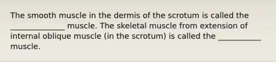 The smooth muscle in <a href='https://www.questionai.com/knowledge/kEsXbG6AwS-the-dermis' class='anchor-knowledge'>the dermis</a> of the scrotum is called the ______________ muscle. The skeletal muscle from extension of internal oblique muscle (in the scrotum) is called the ___________ muscle.