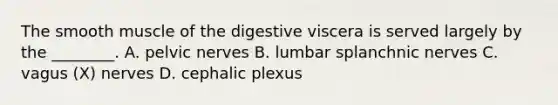 The smooth muscle of the digestive viscera is served largely by the ________. A. pelvic nerves B. lumbar splanchnic nerves C. vagus (X) nerves D. cephalic plexus