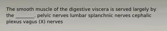 The smooth muscle of the digestive viscera is served largely by the ________. pelvic nerves lumbar splanchnic nerves cephalic plexus vagus (X) nerves