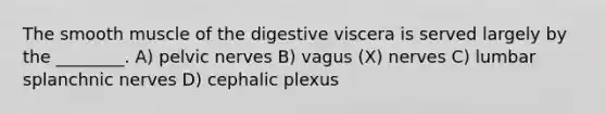 The smooth muscle of the digestive viscera is served largely by the ________. A) pelvic nerves B) vagus (X) nerves C) lumbar splanchnic nerves D) cephalic plexus