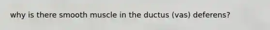 why is there smooth muscle in the ductus (vas) deferens?