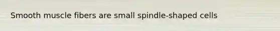 Smooth muscle fibers are small spindle-shaped cells