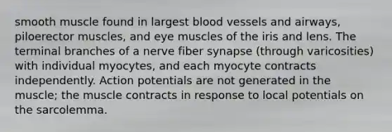 smooth muscle found in largest blood vessels and airways, piloerector muscles, and eye muscles of the iris and lens. The terminal branches of a nerve fiber synapse (through varicosities) with individual myocytes, and each myocyte contracts independently. Action potentials are not generated in the muscle; the muscle contracts in response to local potentials on the sarcolemma.