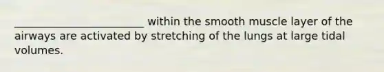 ________________________ within the smooth muscle layer of the airways are activated by stretching of the lungs at large tidal volumes.