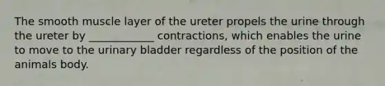 The smooth muscle layer of the ureter propels the urine through the ureter by ____________ contractions, which enables the urine to move to the urinary bladder regardless of the position of the animals body.