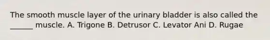 The smooth muscle layer of the urinary bladder is also called the ______ muscle. A. Trigone B. Detrusor C. Levator Ani D. Rugae