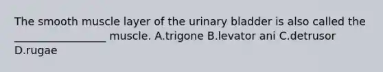 The smooth muscle layer of the urinary bladder is also called the _________________ muscle. A.trigone B.levator ani C.detrusor D.rugae