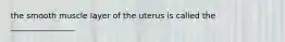 the smooth muscle layer of the uterus is called the ________________