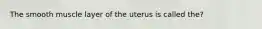 The smooth muscle layer of the uterus is called the?