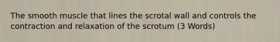 The smooth muscle that lines the scrotal wall and controls the contraction and relaxation of the scrotum (3 Words)