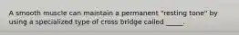 A smooth muscle can maintain a permanent "resting tone" by using a specialized type of cross bridge called _____.