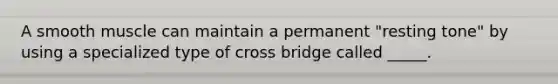 A smooth muscle can maintain a permanent "resting tone" by using a specialized type of cross bridge called _____.