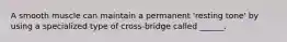 A smooth muscle can maintain a permanent 'resting tone' by using a specialized type of cross-bridge called ______.