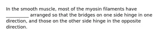 In the smooth muscle, most of the myosin filaments have __________ arranged so that the bridges on one side hinge in one direction, and those on the other side hinge in the opposite direction.