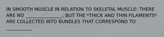 IN SMOOTH MUSCLE IN RELATION TO SKELETAL MUSCLE: THERE ARE NO ________________, BUT THE *THICK AND THIN FILAMENTS* ARE COLLECTED INTO BUNDLES THAT CORRESPOND TO ___________