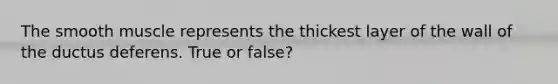 The smooth muscle represents the thickest layer of the wall of the ductus deferens. True or false?