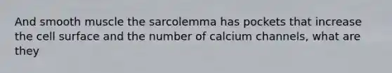 And smooth muscle the sarcolemma has pockets that increase the cell surface and the number of calcium channels, what are they