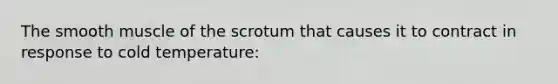 The smooth muscle of the scrotum that causes it to contract in response to cold temperature: