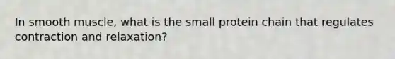 In smooth muscle, what is the small protein chain that regulates contraction and relaxation?